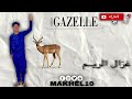 اغنية غزال الريم كاملة Gazelle Rhim 
