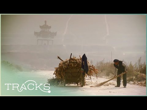 Video: Chinese Pyramids: Why Are They Hidden? - Alternative View