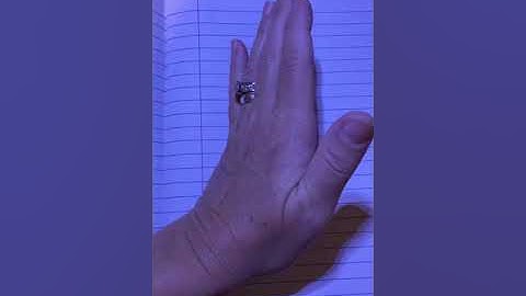 Part 1: Setting Up My Writer’s Notebook