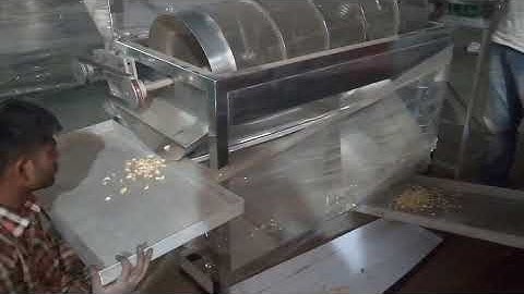 Peeled Garlic clove grading machine - RAMI international