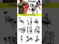 Best triceps workout/ Triceps workout at gym/#viral #tranding #fitneess #short #yt