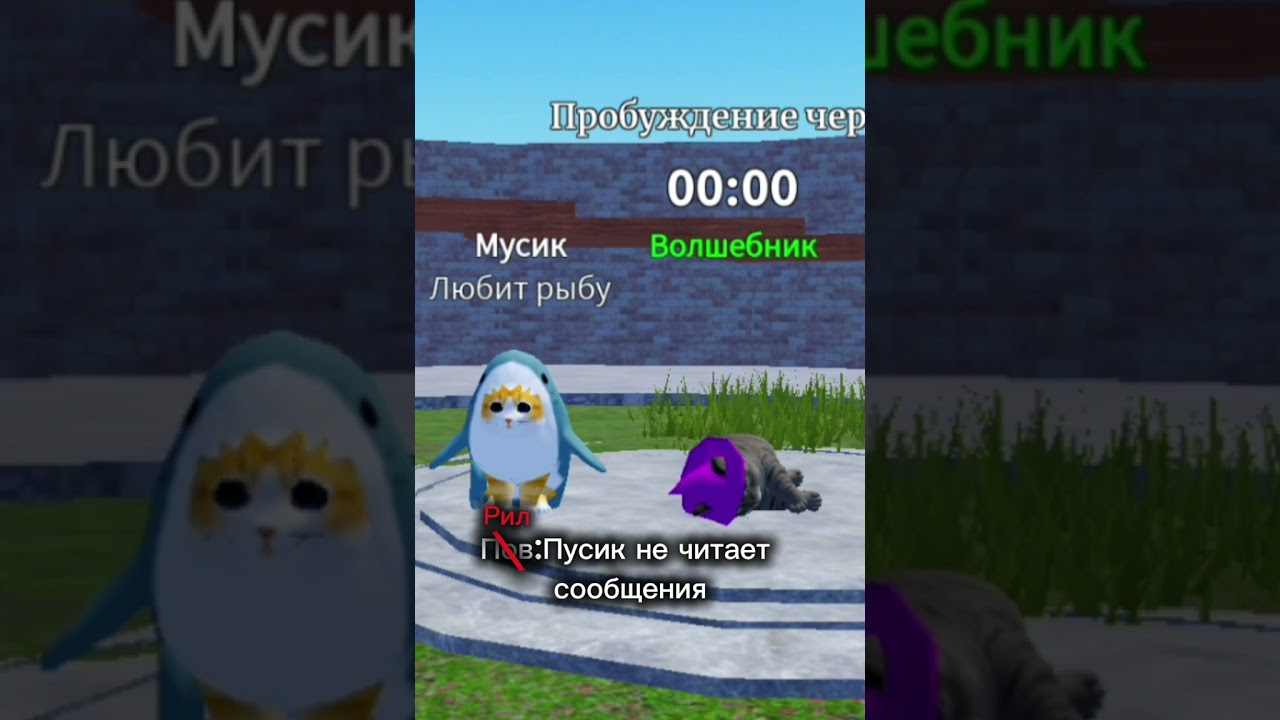 Ждемс Пусика