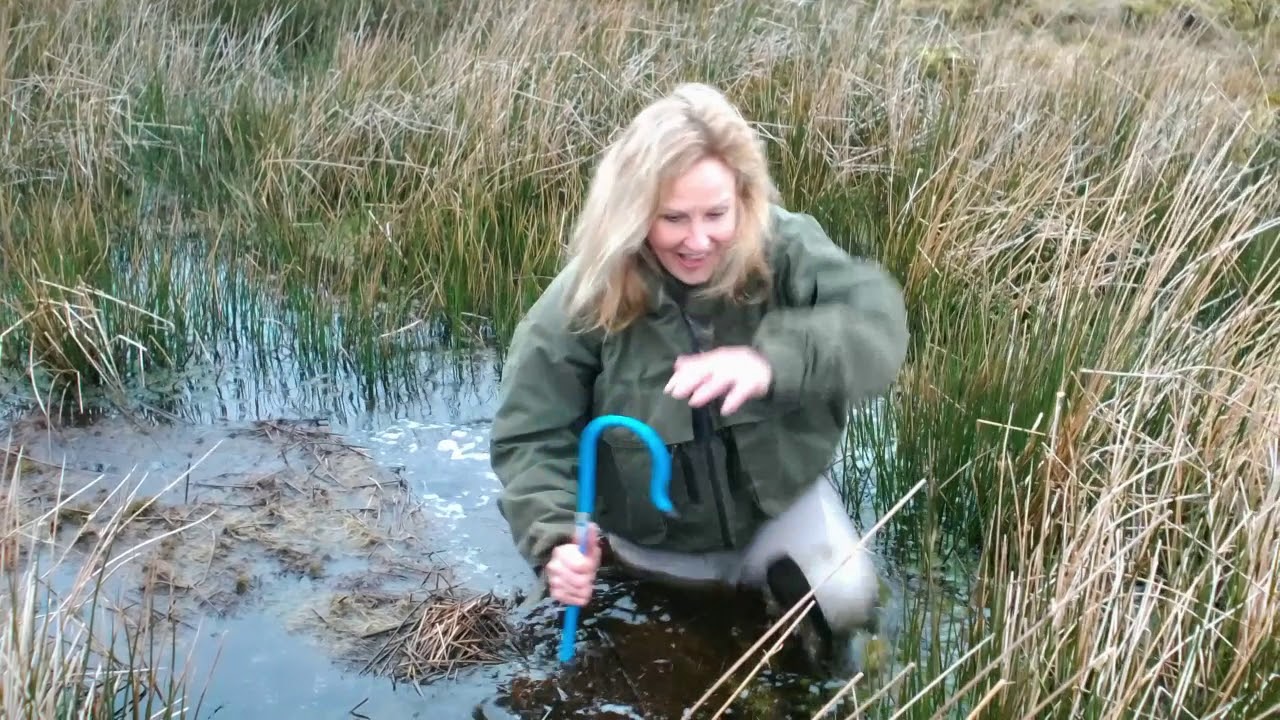 Video 15 - A bog on the moors - Taster
