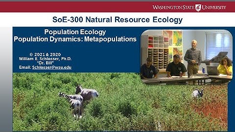 Population Dynamics: Metapopulations