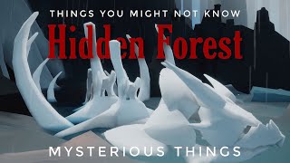 Mysterious Hidden Forest - Things You Might Not Know! | sky children of the light | Noob Mode