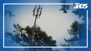 120-foot cell tower appears on couple's Friday Harbor property