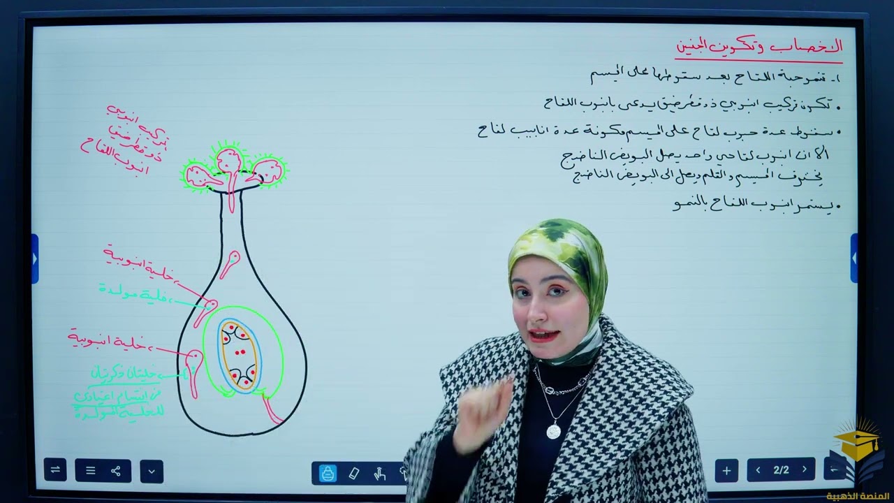 تكوين انبوب اللقاح/الفصل الثالث /محاضرة19/احياء السادس الاعدادي /أ. رنين ادريس الطائي 