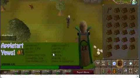 Free Undetectable runescape botting money