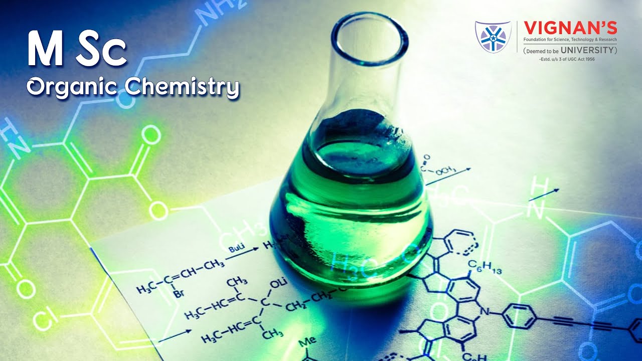 Celebrating Success! Students Share Their Journey!