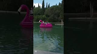 nuevas barcas de pedales en el parque Cataluña mayo 2026. #sabadell #barcas #lagoparquecataluña