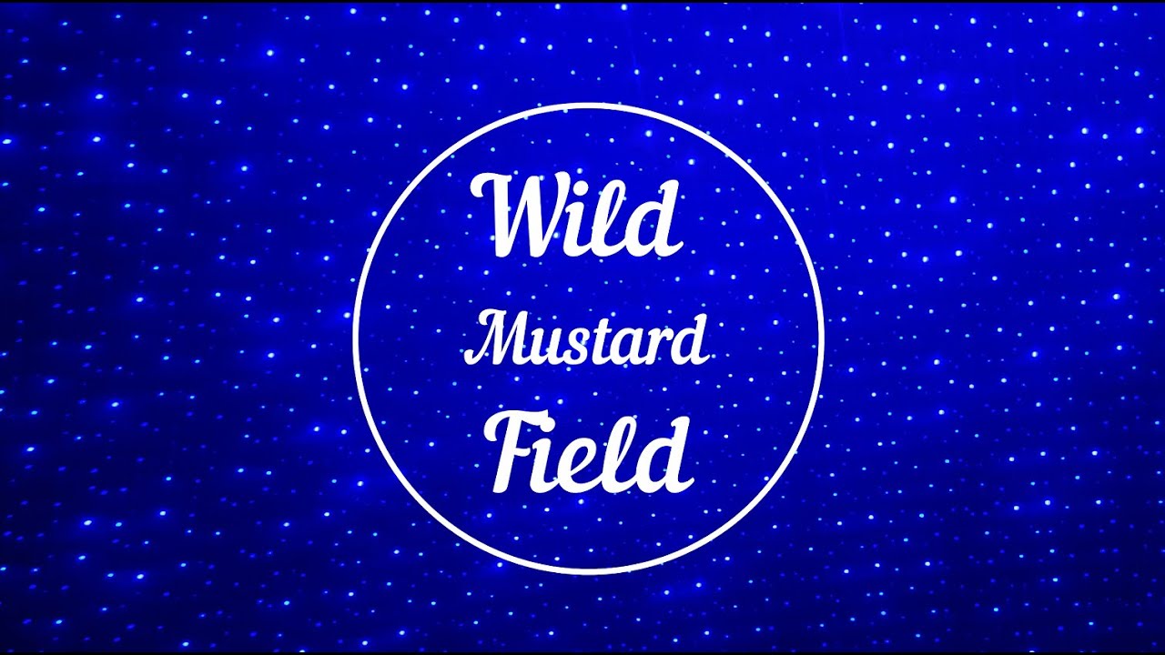 Wild Mustard Field, Half Moon Bay Slideshow Season 8, Episode 5 (2/6/2022) YouTube