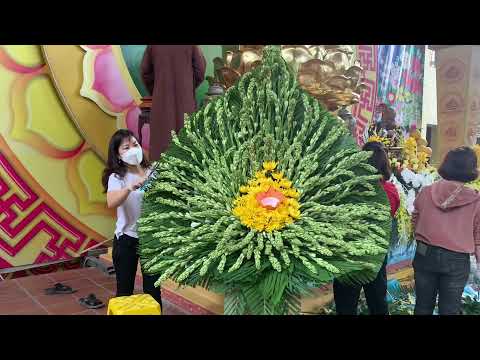 Video Hội hoa tráp Đan phượng cắm hoa công Đức tại chùa bằng... - youtube