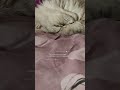 #добройночи #приятныхснов#сладкихснов