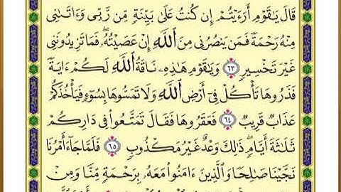 الصفحة ( 229) من القرآن الكريم سورة هود _ مصحف التقسيم الموضوعي _