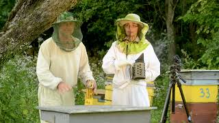 В гостях у начинающего пчеловода