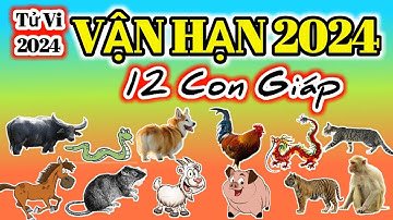 Vận Hạn 2024 | Tử Vi 2024 của 12 con giáp - Năm Giáp Thìn 2024  @Luangiai12congiap