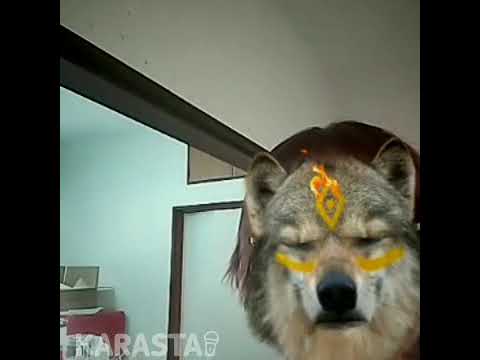 TM NETWORK(TMN)のGet Wildを歌ってみた / ひめみこ。。