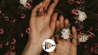 Sofia Mills - Homebodies