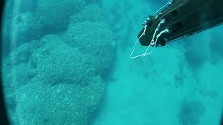 B Daniel Double Invert Roller 105 soft setup vs Grouper... enjoy!