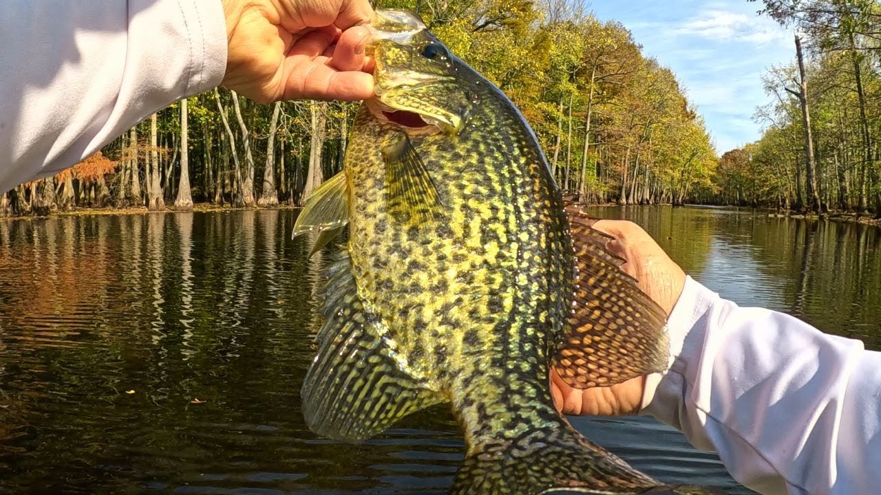 What's the Fastest Way to Catch 10 Winter Crappie in 1 Hour?