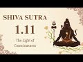 Shiva Sutra 1.11 | The Light of Consciousness |