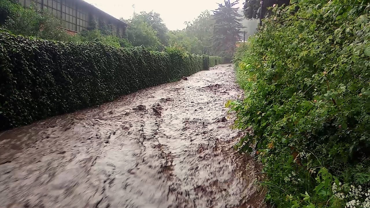 Zásahy JSDH Adamov 06/2020