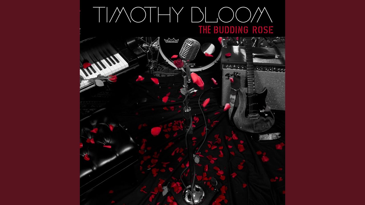 Watch Tabitha (Live) on YouTube Watch Tabitha (Live) on YouTube