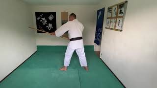Fabrice Cast kamae et directions jo #3