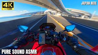 Morning Escape: Yokohama to Izu Coast | Honda CB1300 V-PER FCR41 &amp; Wyvern Pure Sound [4K 60fps POV]