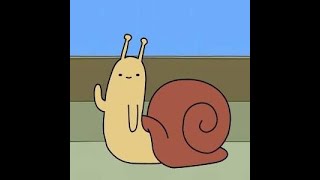 Introduction To Snail Space