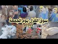 سوق الغزل يوم الجمعة انواع الحيوانات والطيور مع الأسعار 2023/9/8