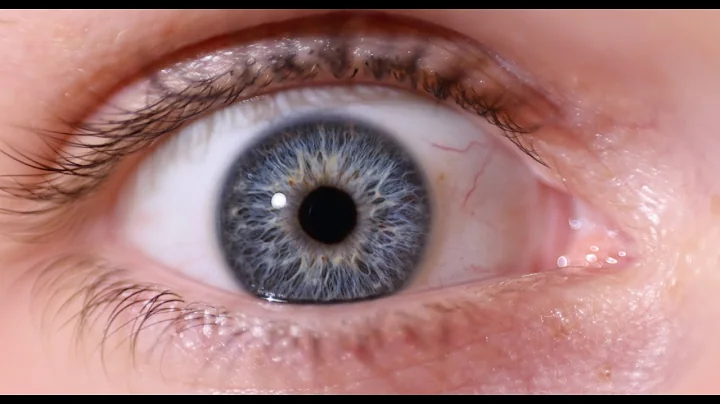 Running an Iris Photography shop, without a Franchise