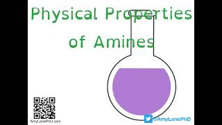 388 BCH3023 Physical Properties of Amines