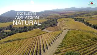 Agricola Llahuen: Procesos en la producción de plantas de frutilla