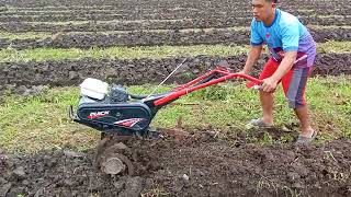 @Belajar Mesin Mini Untuk Menghaluskan Tanah Subur Untuk Tanaman Semangka