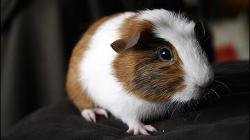 Correlation Does NOT Usually Imply Causation (But It Can!)