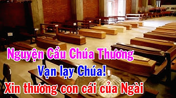 Nguyện Cầu Chúa Thương - Vạn lạy Chúa! Xin thương con cái của Ngài