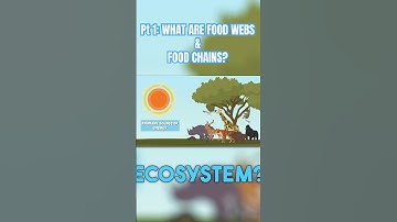 Part 1:🔥 Food Webs & Food Chains Explained! 🌿🐾