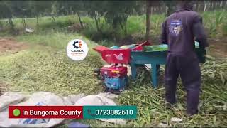 Kenya’s Top Diesel High Speed Silage Chopper | Fast & Efficient Fodder Cutting
