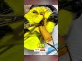 What Came Out of the Cat’s Mouth Shocked Everyone! 😱🐱