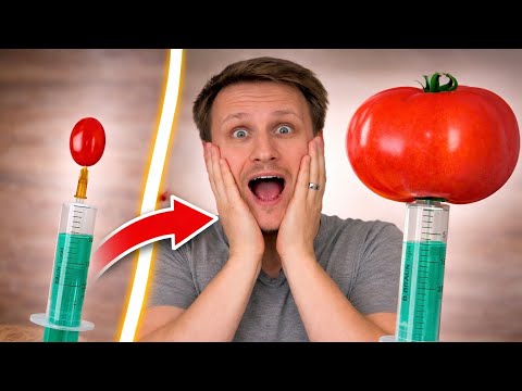 Ich habe eine Tomate mit einer Spritze aufgepumpt...🤯