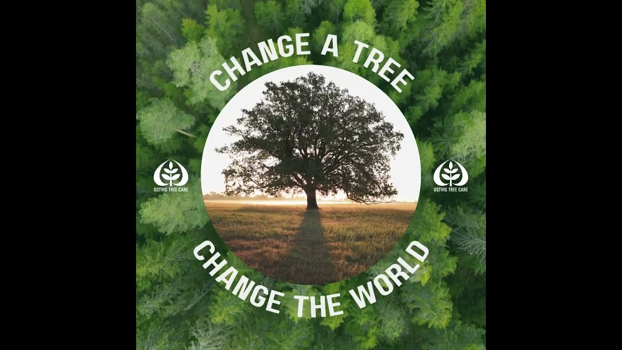 Change a Tree, Change The World