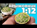 УДИВИТЕЛЬНЫЙ крыжовник 1/12 из полимерной глины | лепка миниатюры| еда в кукольный домик