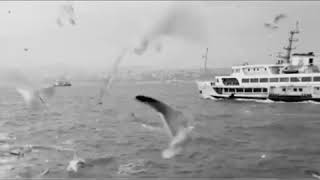 Müzik- Müslüm Gürses -Kısa Müzik