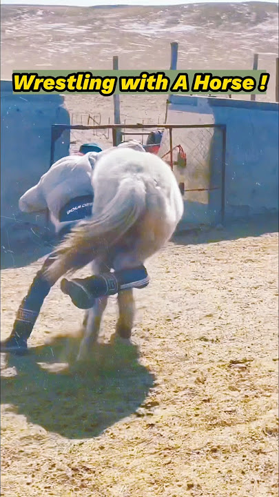 😱Mongolian Boy Wrestles with Horses: Wrestling techniques are important skills for nomadic life