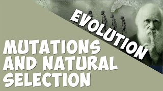 Mutations and Natural Selection | Evolution | Biology | AddyESchool