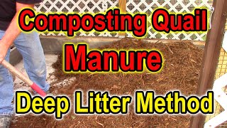 Deep Litter Method Of Composting Quail Manure