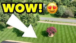 One of the BEST DIY Homeowner Lawns I Have EVER Seen
