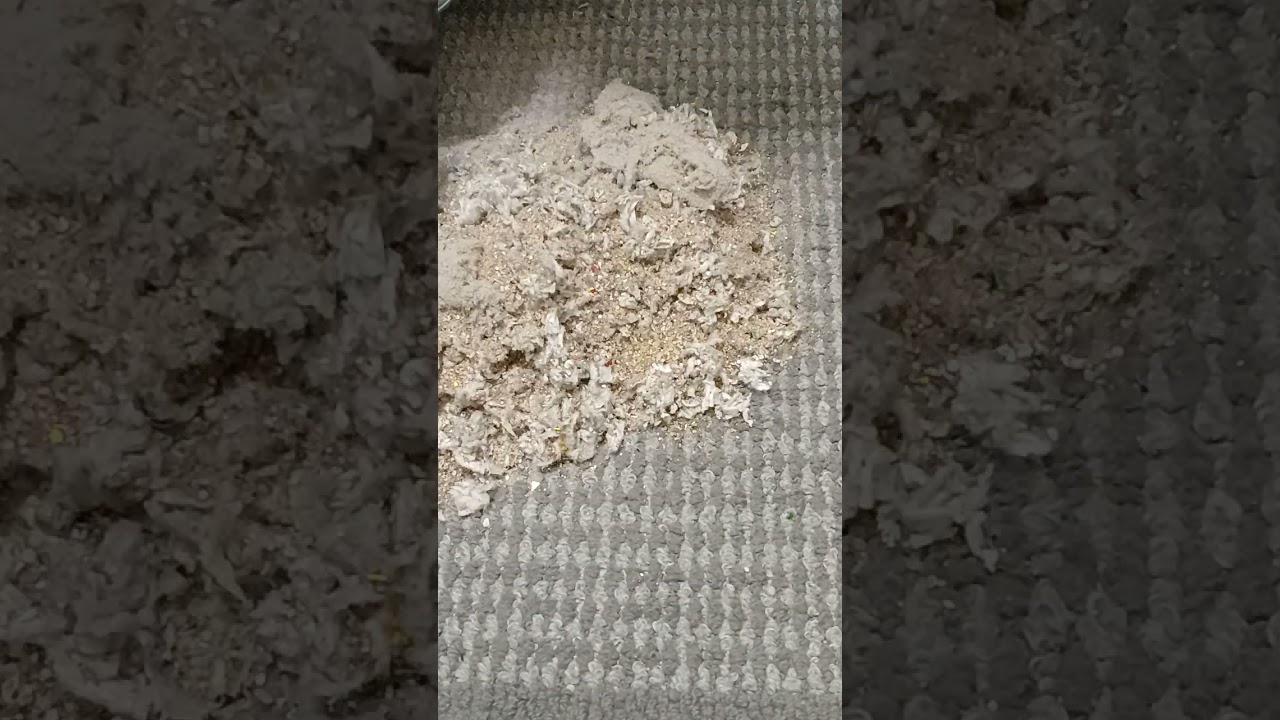 No name yet. #oddlysatisfying #vacuumasmr #anxietyrelief #trending #asmr 