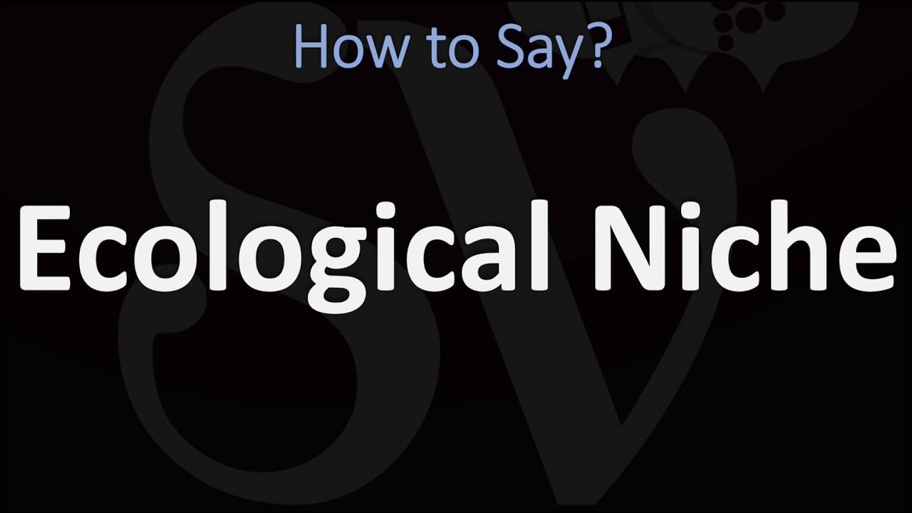 How to Pronounce Ecological Niche? (2 WAYS!) UK/British Vs US/American